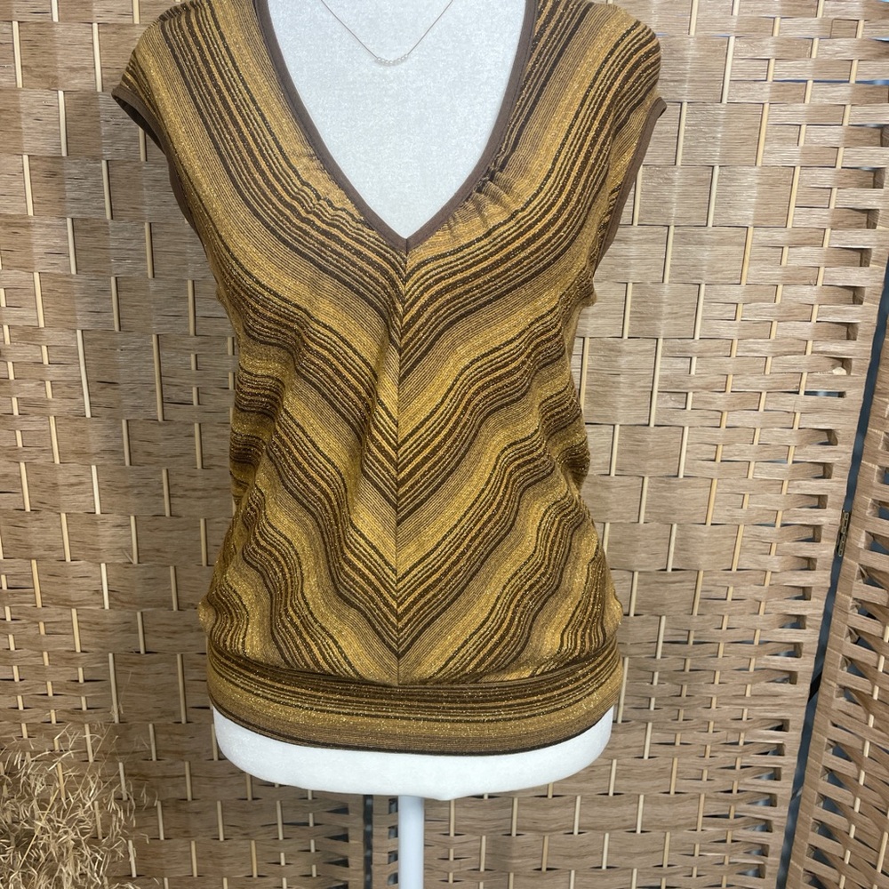 Forever 21 Brown and Gold Striped Knit Top